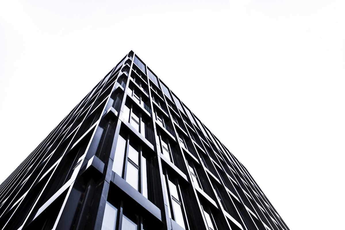 Brutalist identity