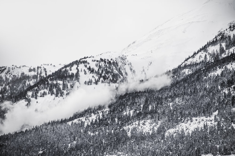 Fotografia in scala di grigi della montagna innevata