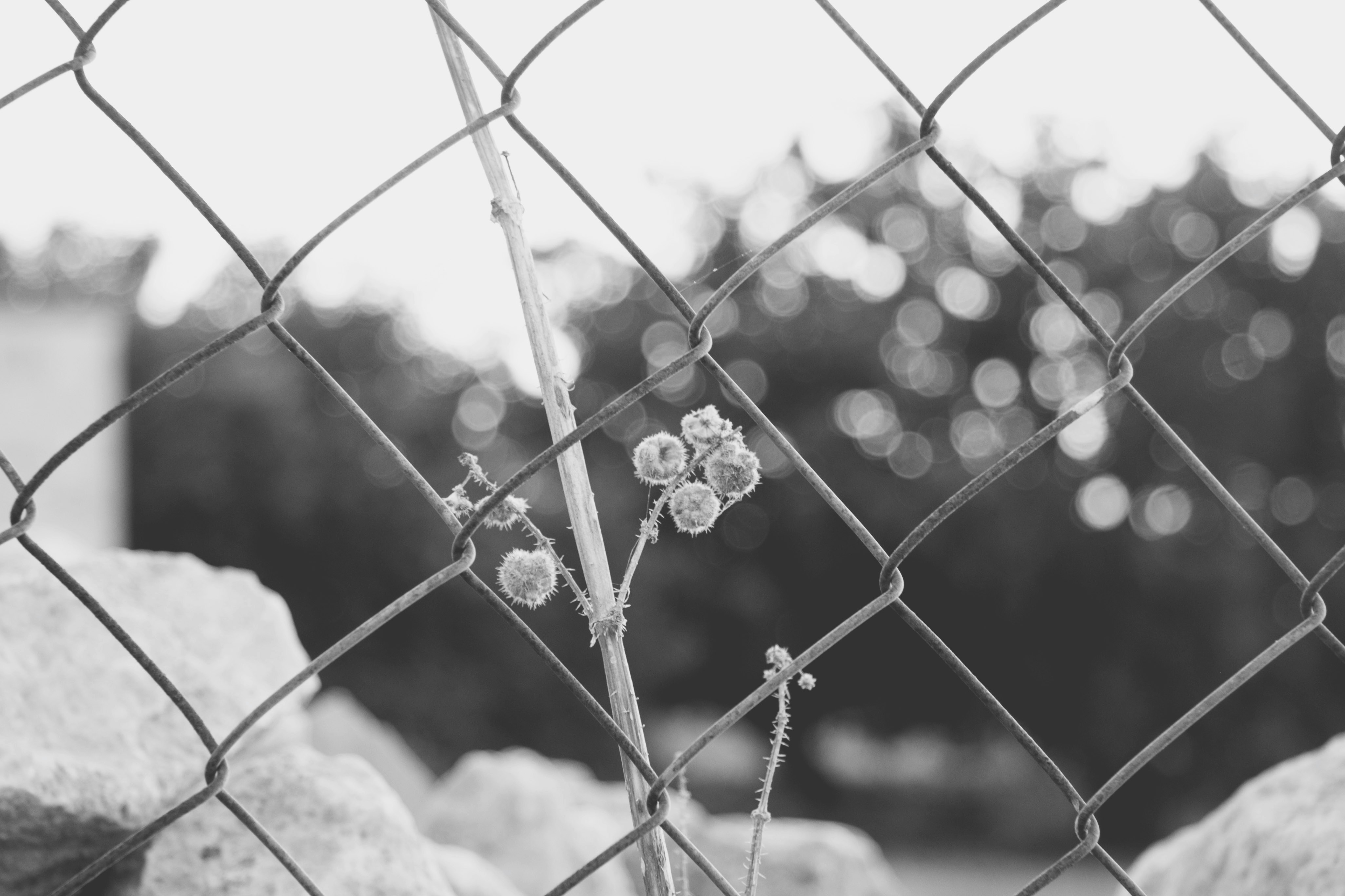 Free Unsplash photo from Despo Potamou