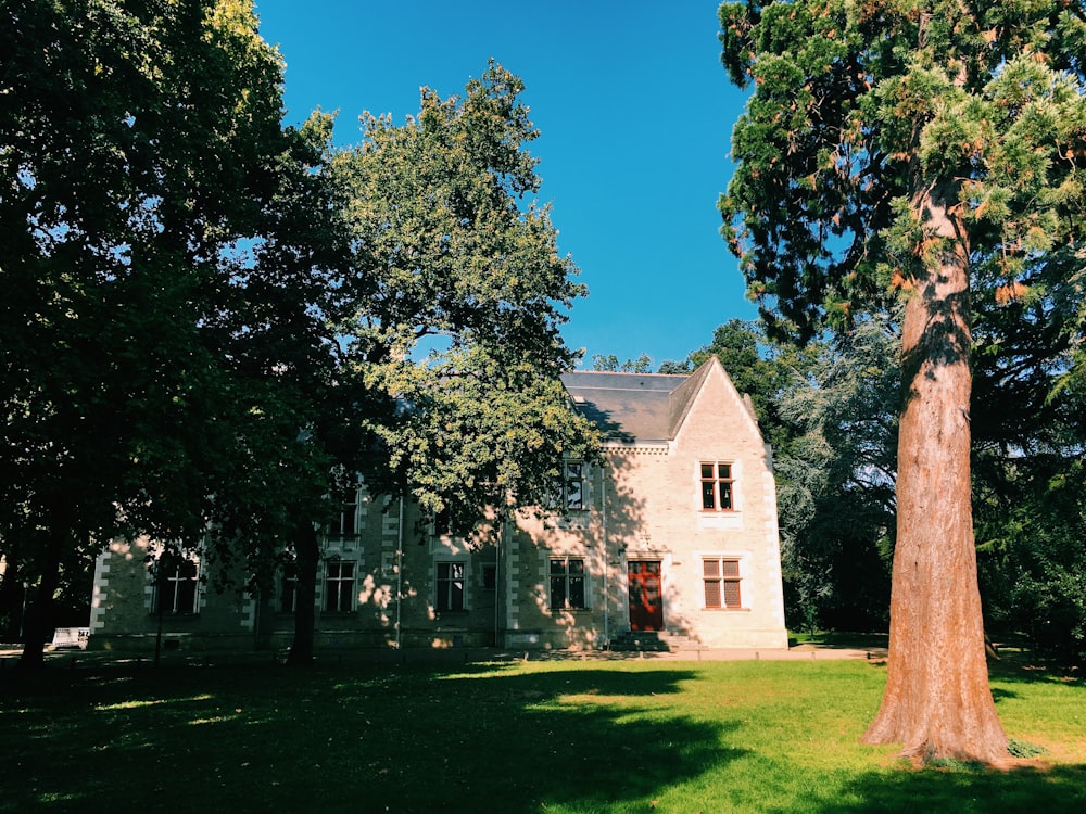 Maison en bois près d’un champ vert entouré de grands arbres verts