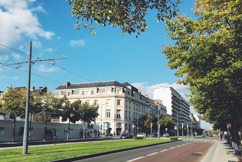 alberi verdi vicino all'edificio