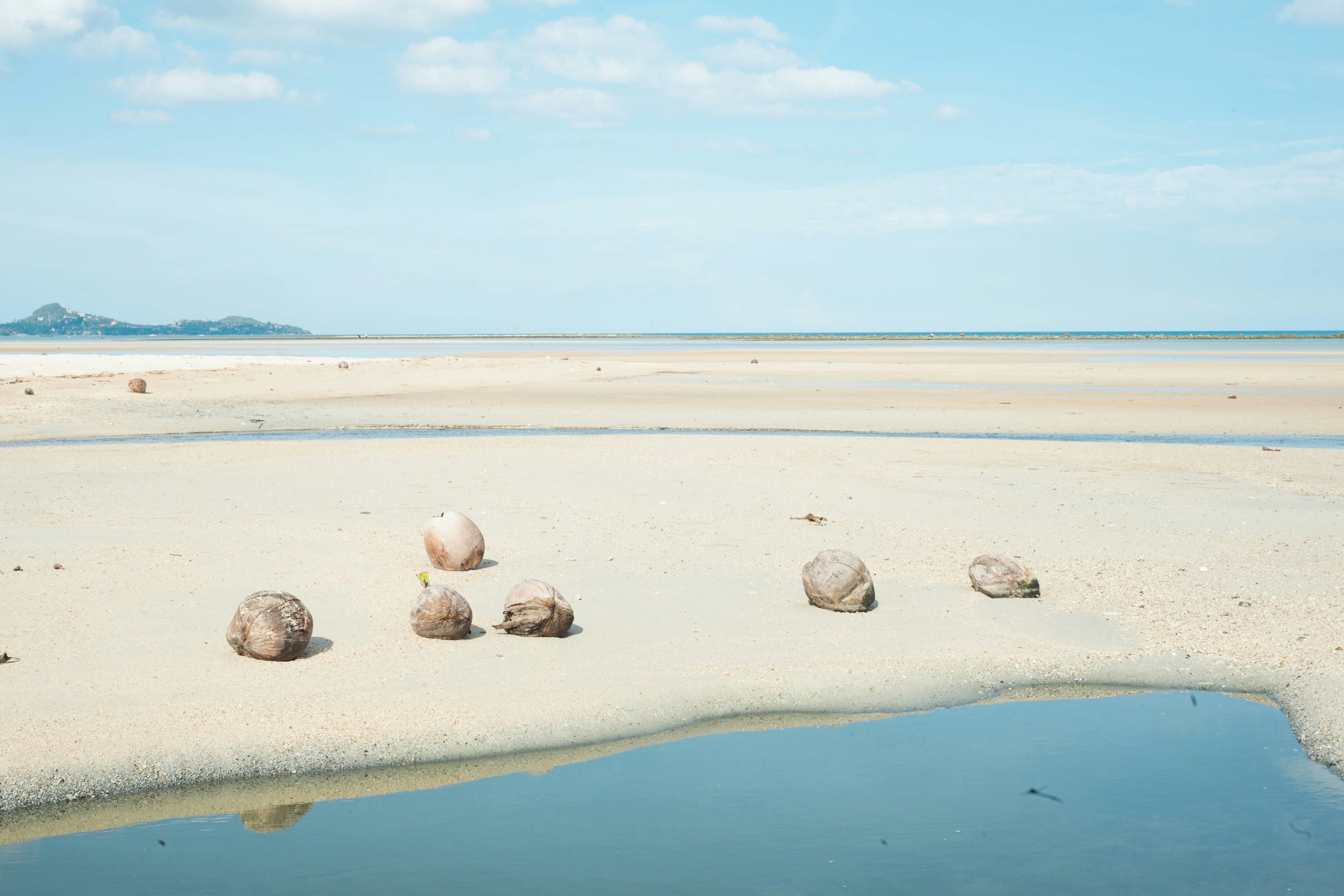 Free Unsplash photo from rebecca johnston