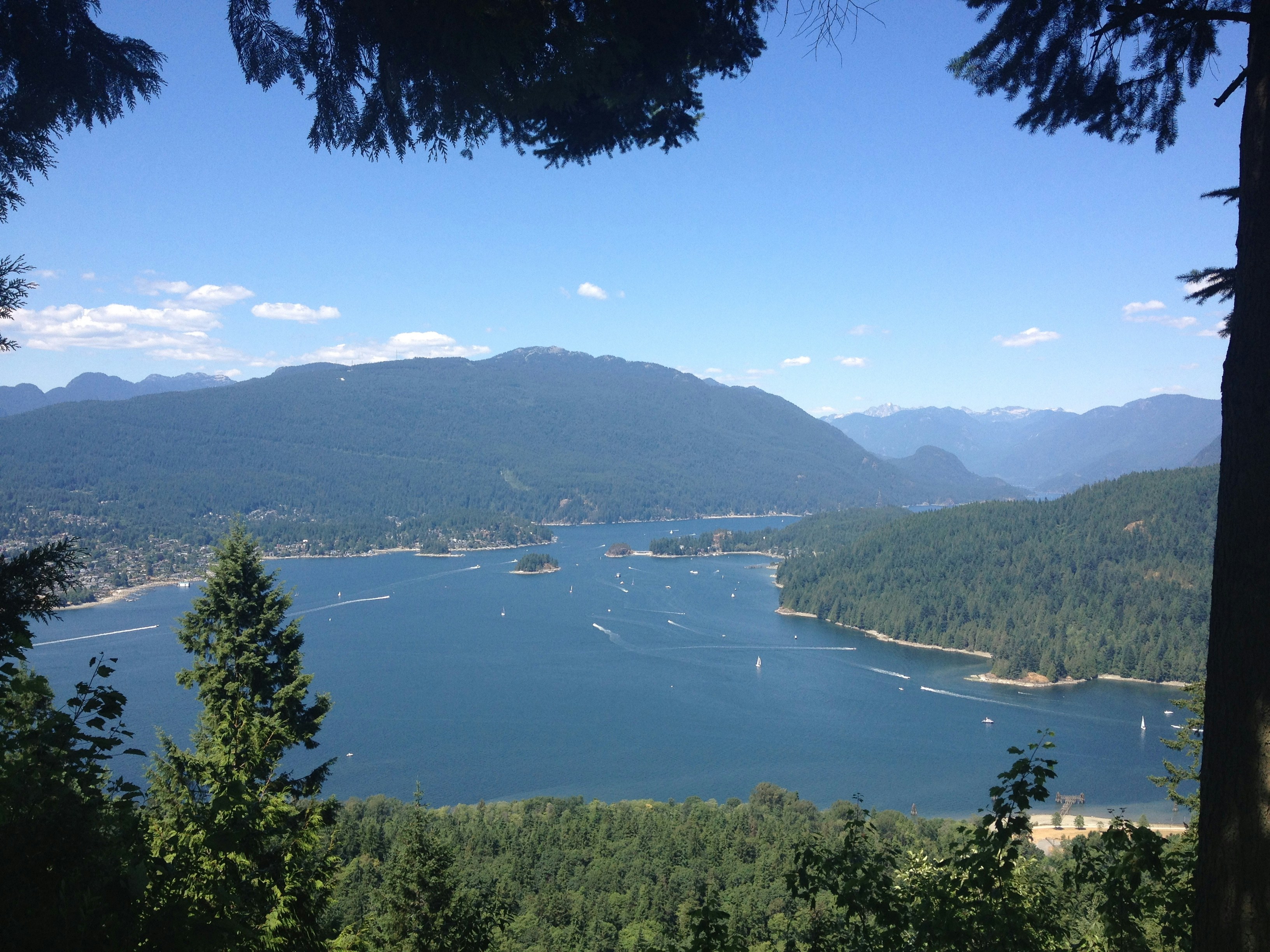 Free Unsplash photo from Tamara Turychenko