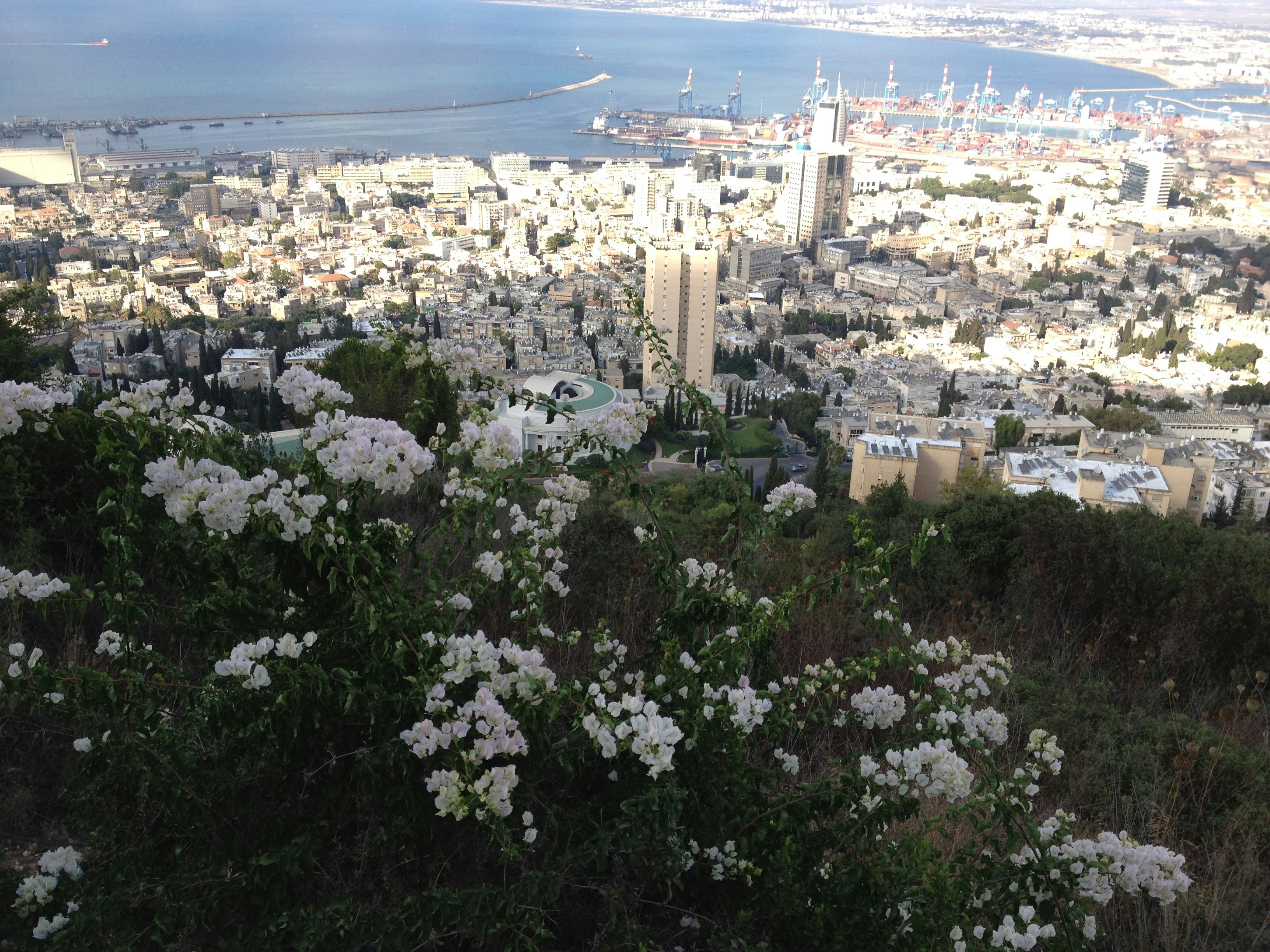 Free Unsplash photo from Tamara Turychenko