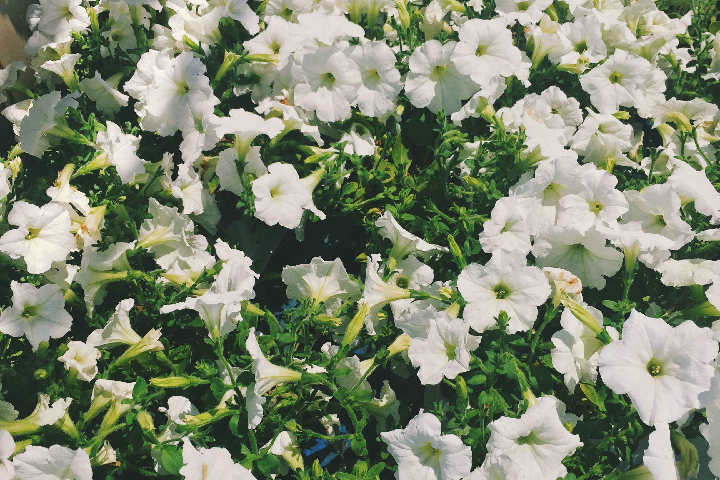 Free Unsplash photo from Josh Porter