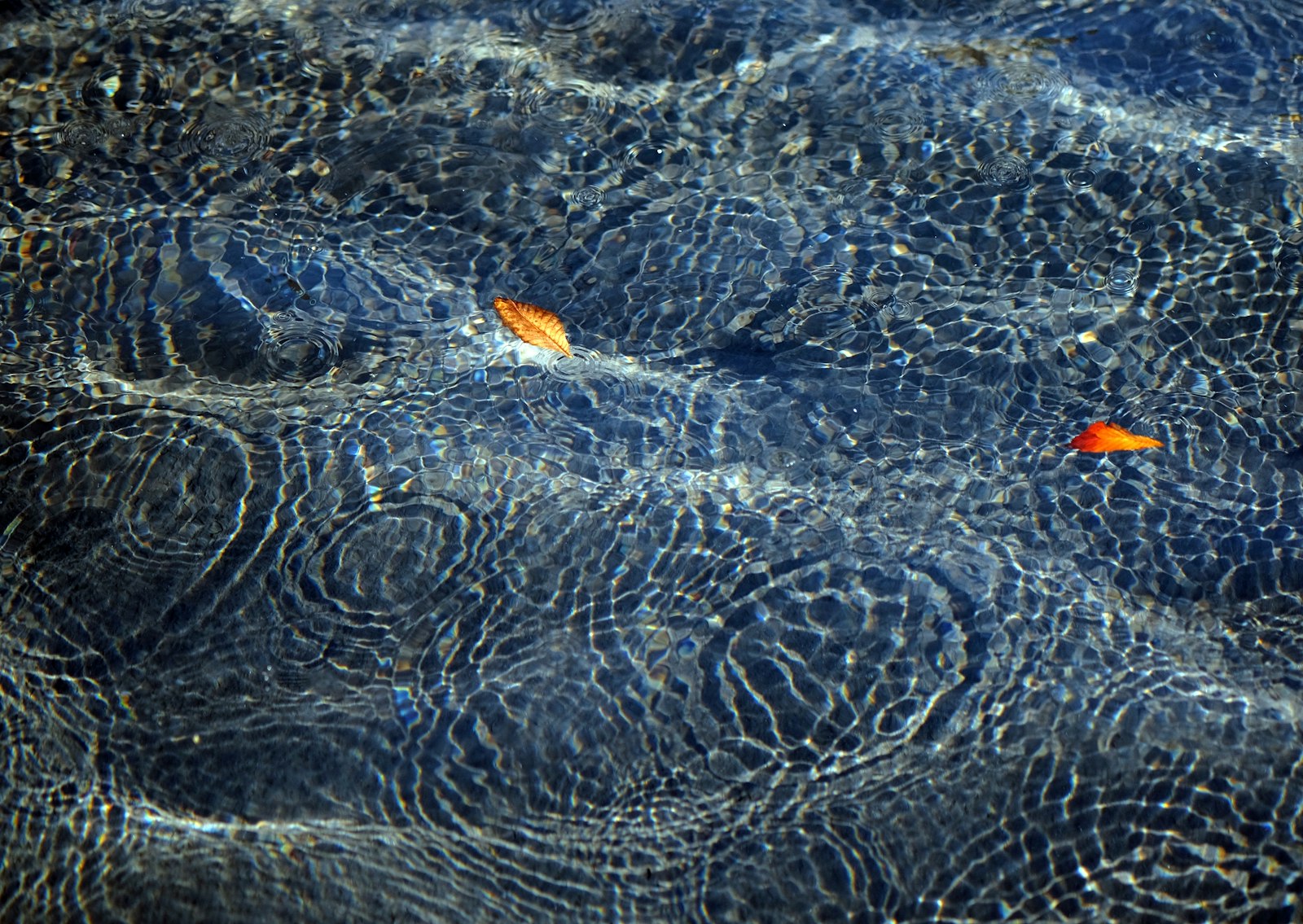 Fujifilm XF 60mm F2.4 R Macro sample photo. Blue and orange glass photography