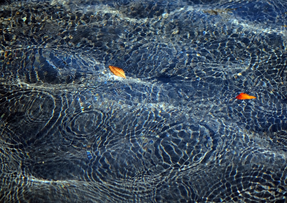 Panel de vidrio azul y naranja