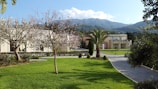 A scenic landscape featuring well-maintained gardens with green lawns and various trees, including palm and flowering trees. In the background, there are buildings with a mixture of modern and traditional architectural elements, set against a backdrop of mountains under a clear blue sky.