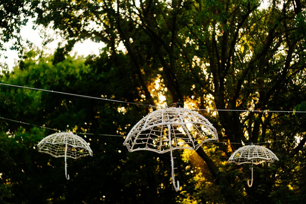 장식을 매달아 놓는 3 개의 흰색 우산 프레임은 나무 근처의 끈에 매달려 있습니다.