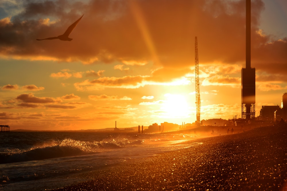 Photographie de l’heure d’or de l’oiseau a volé dans les airs