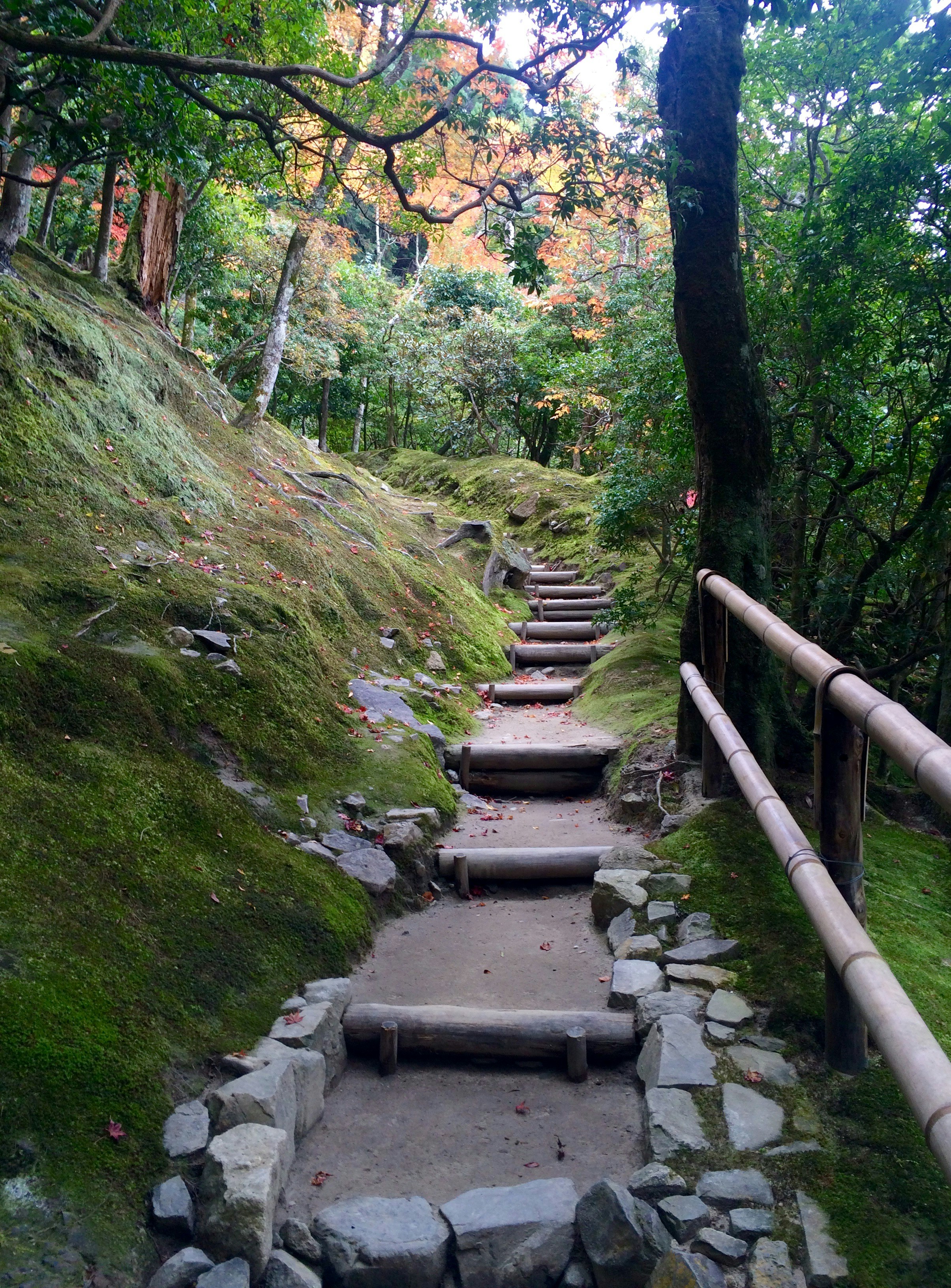 Free Unsplash photo from Mel Hilditch