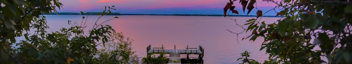 brown dock in body of water near trees