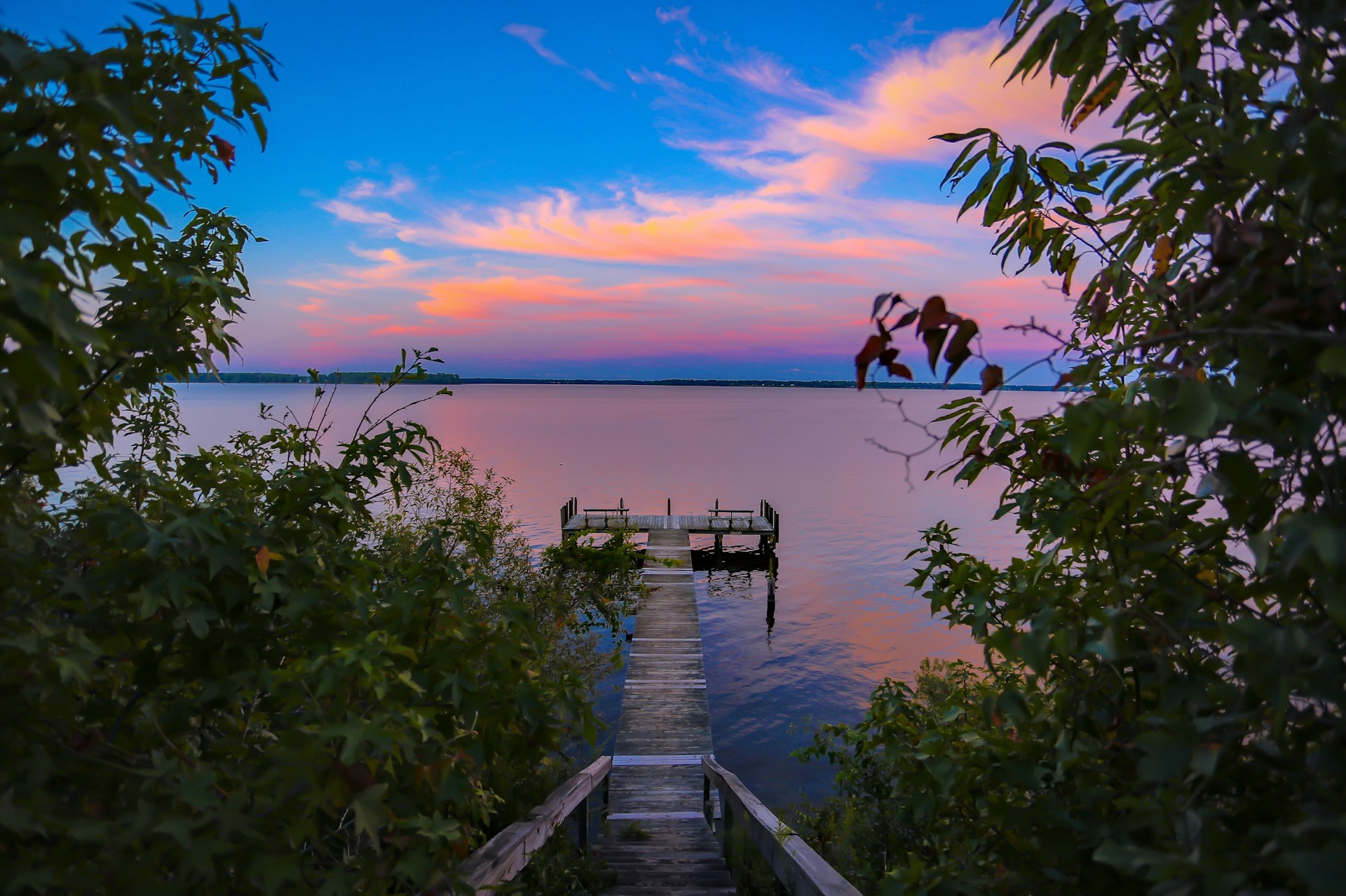 brown dock in body of water near trees