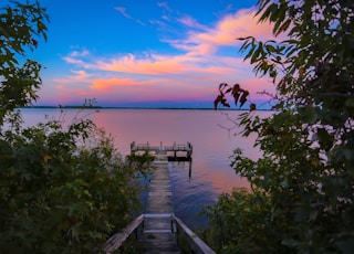 brown dock in body of water near trees