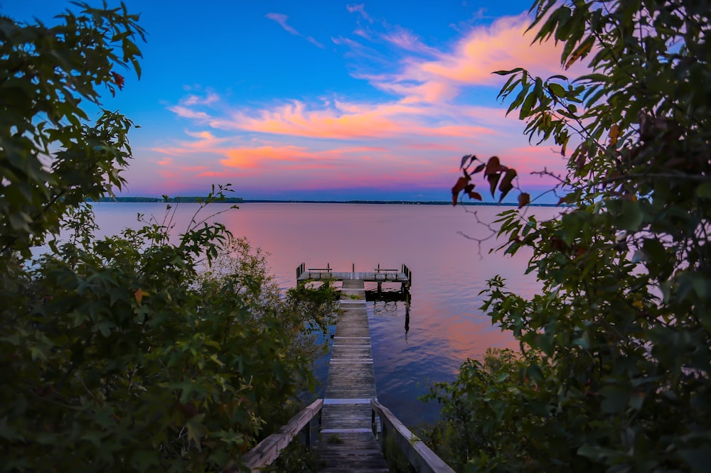 brown dock in body of water near trees