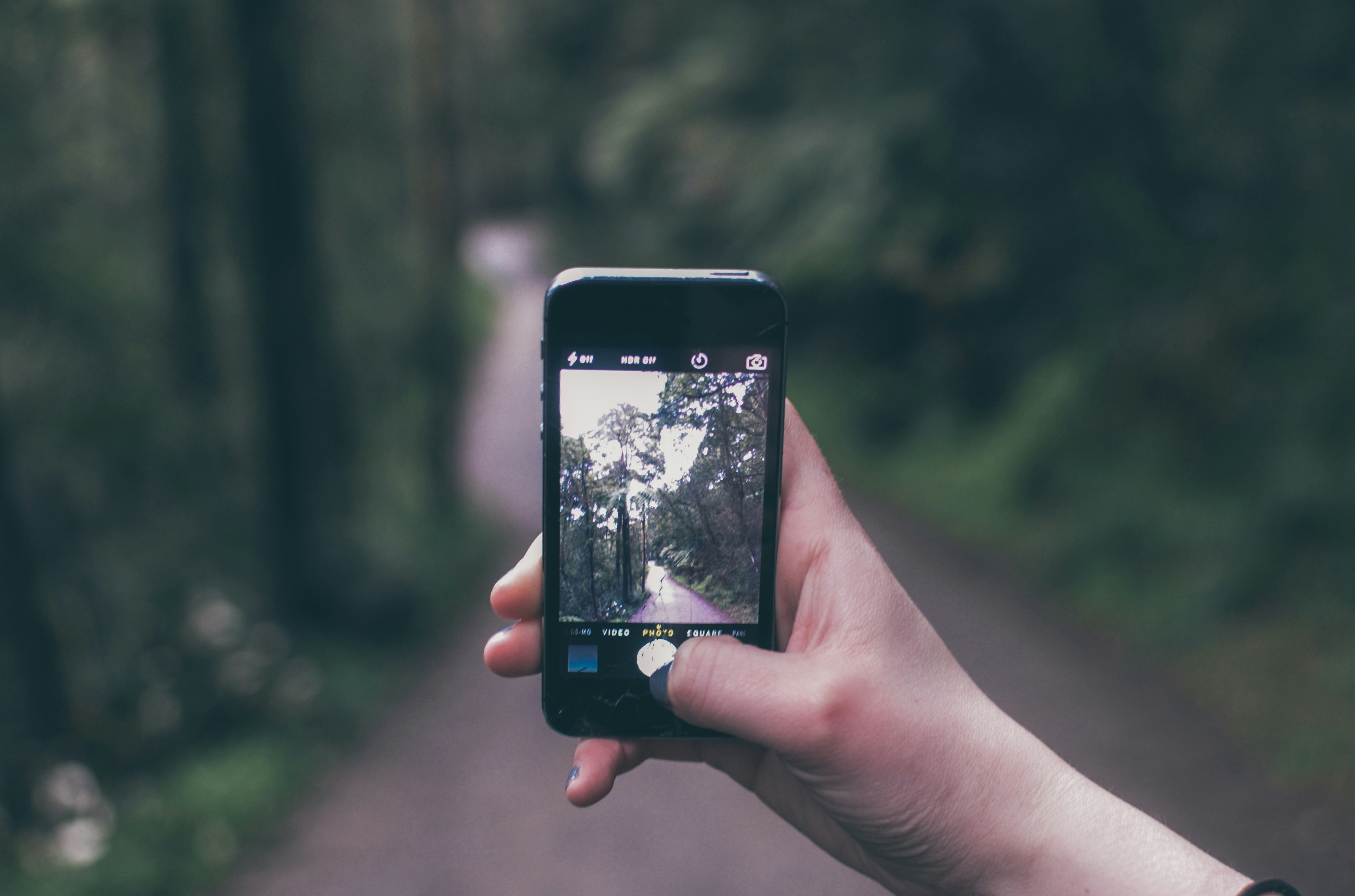 Free Unsplash photo from Wade Millington