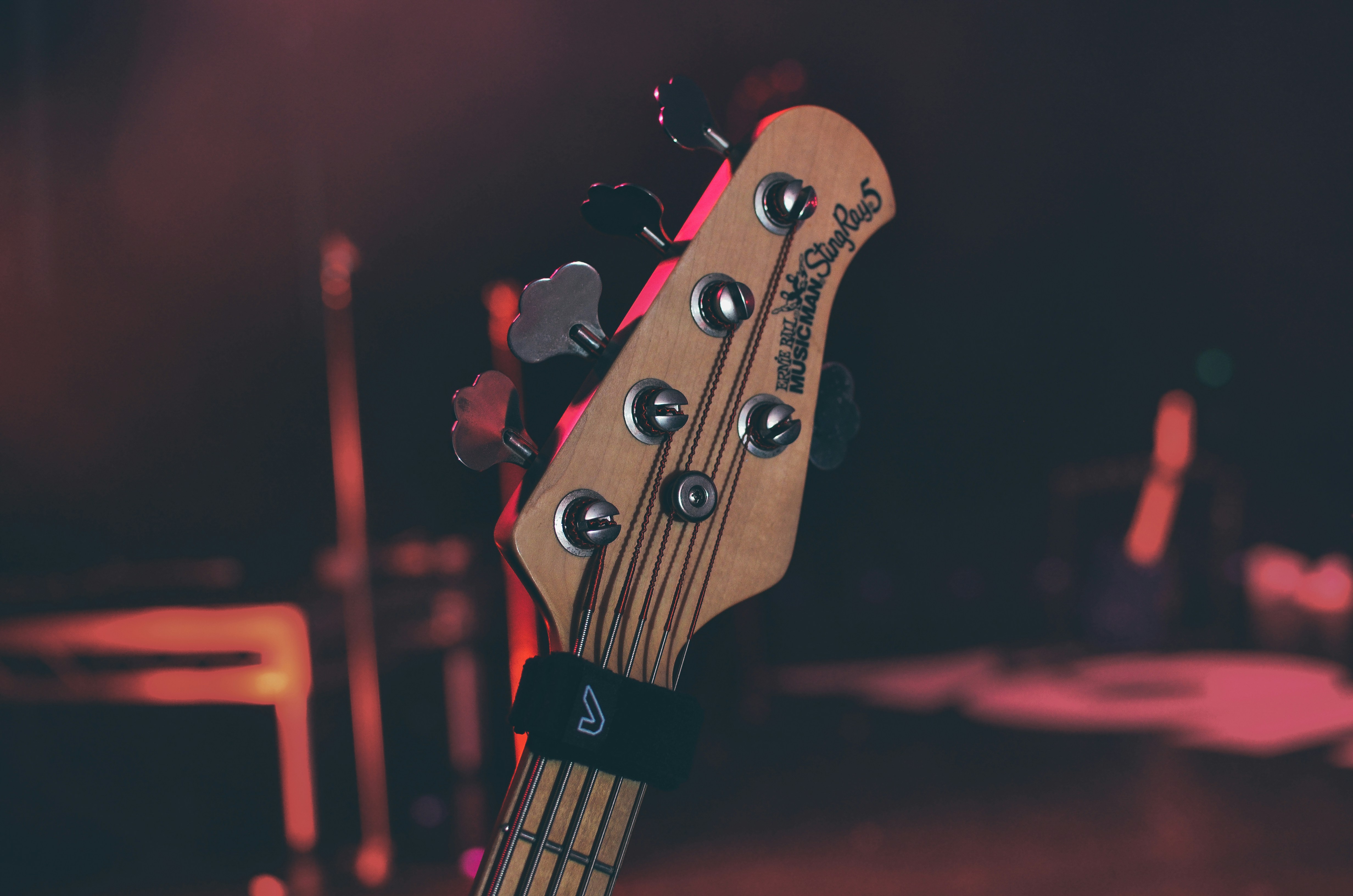 Free Unsplash photo from Wade Millington