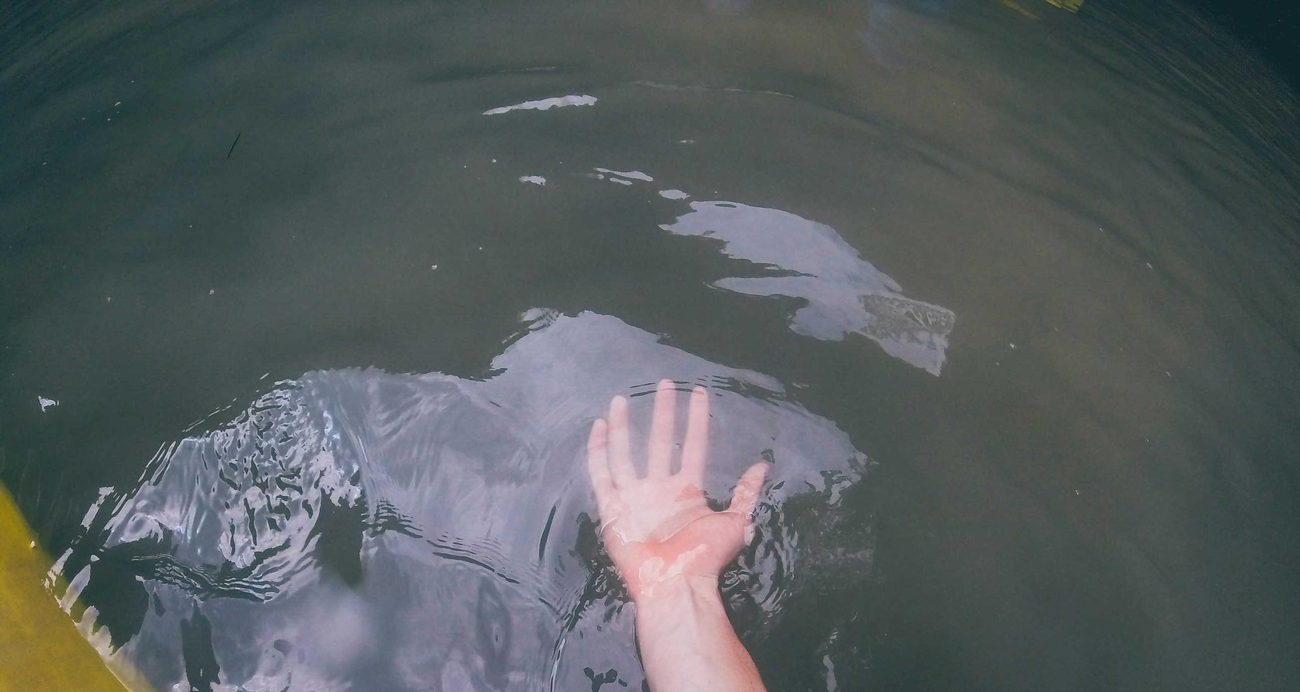 Free Unsplash photo from Wade Millington