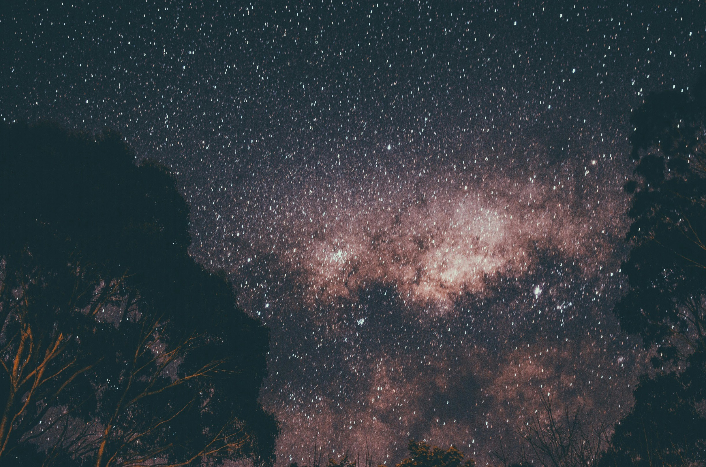 Free Unsplash photo from Wade Millington