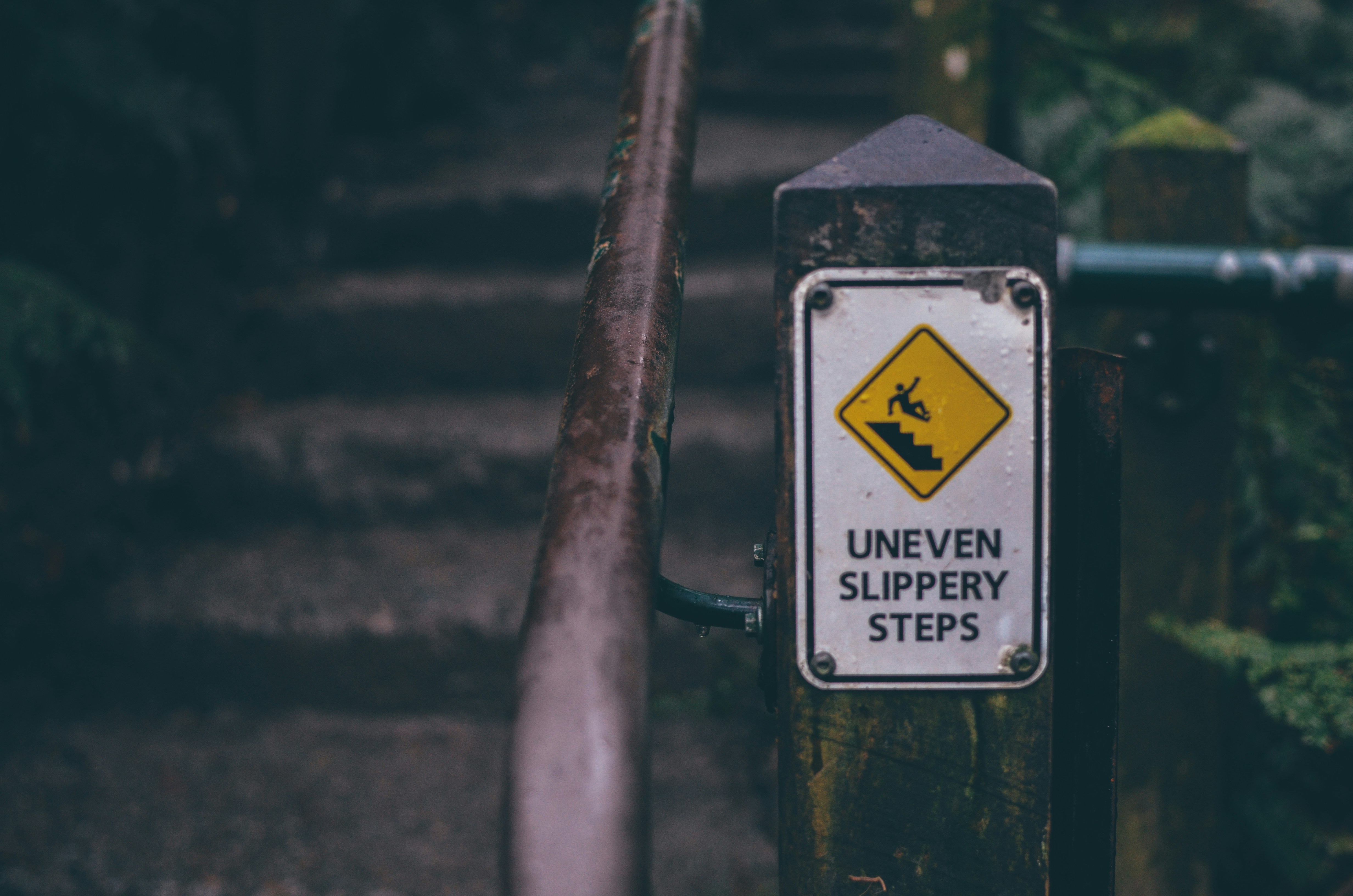 Free Unsplash photo from Wade Millington