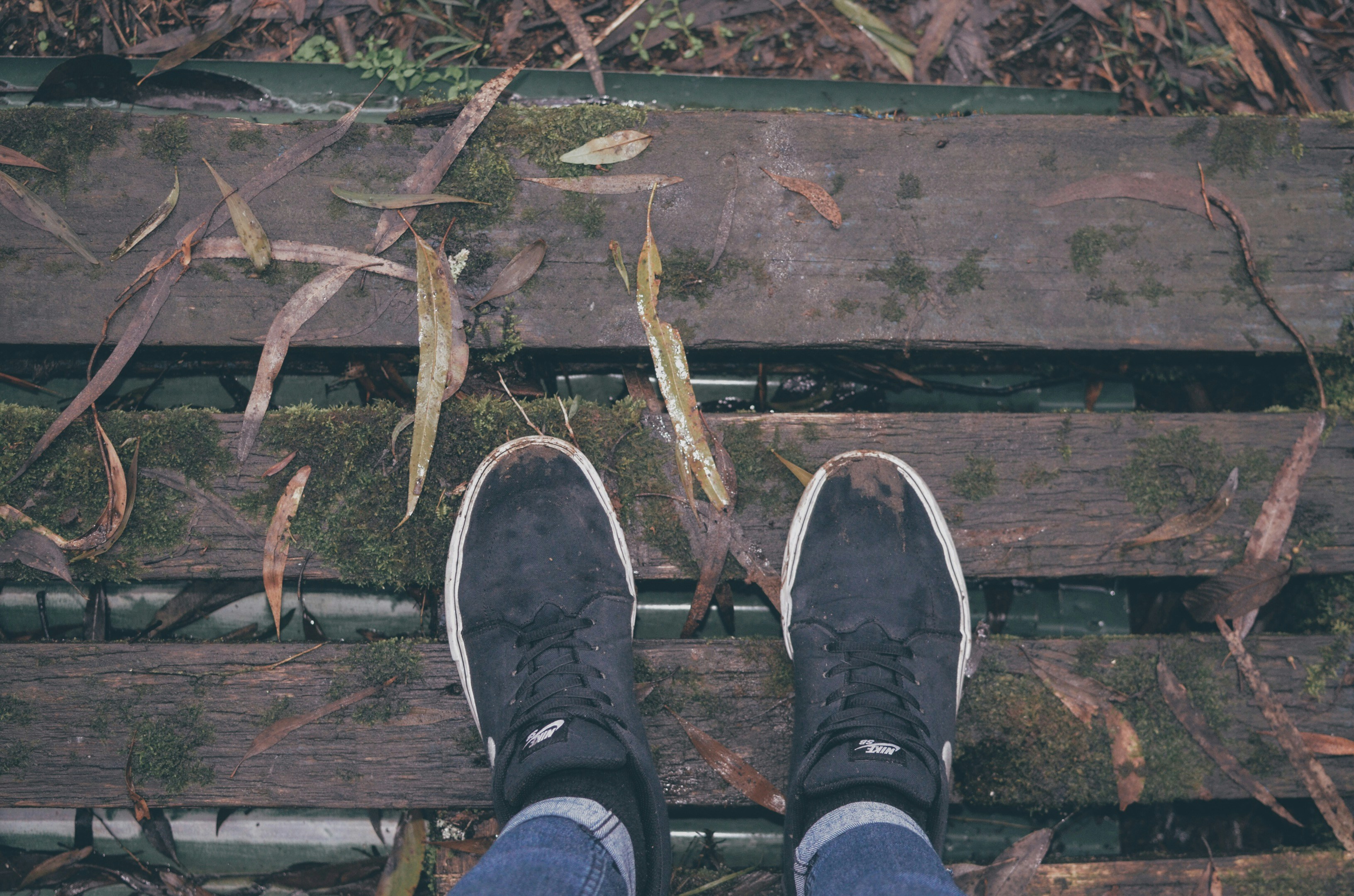 Free Unsplash photo from Wade Millington