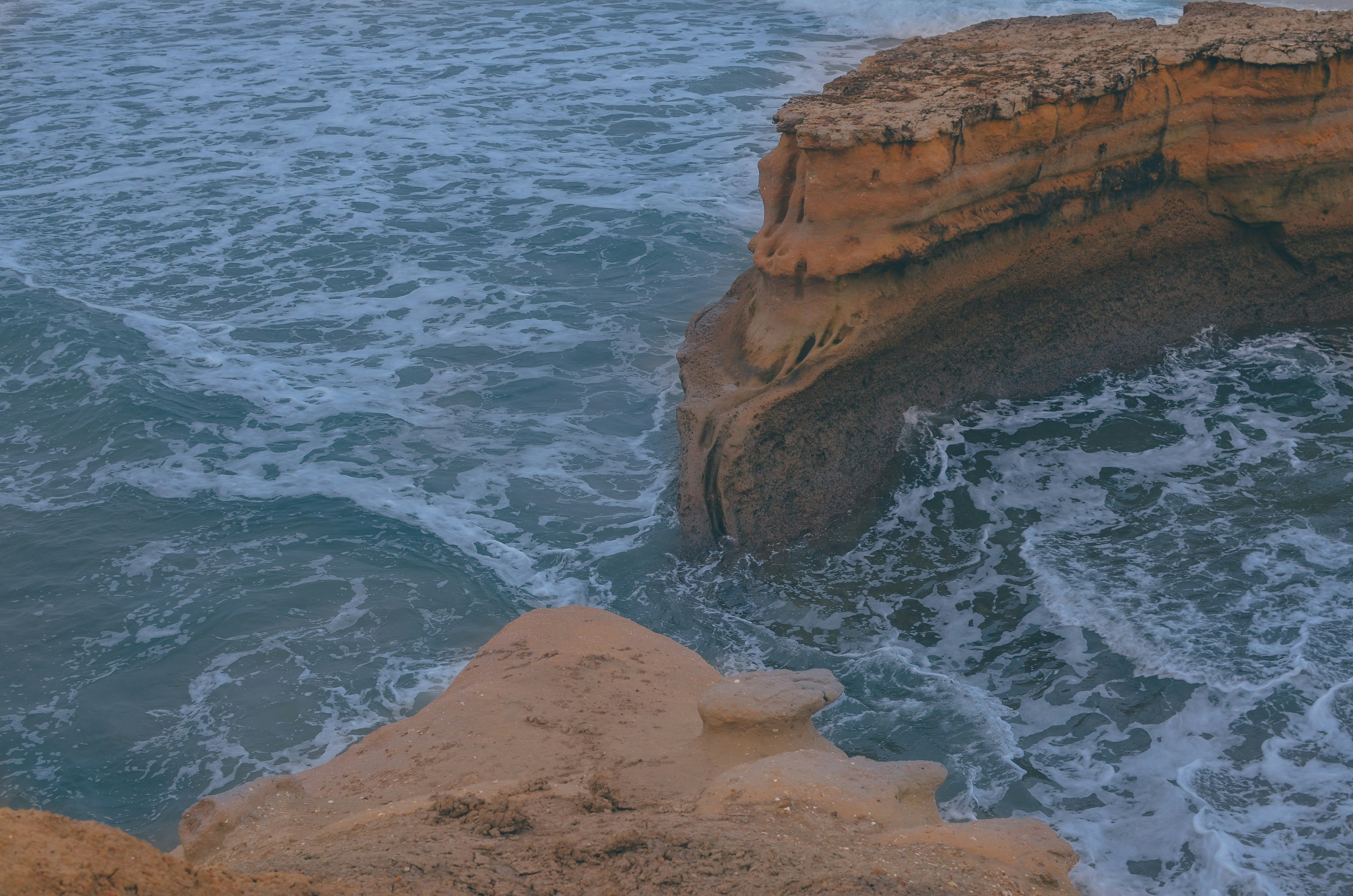 Free Unsplash photo from Wade Millington