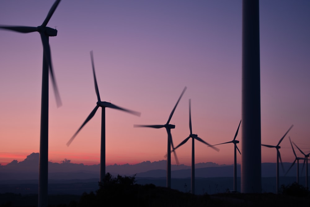 silhouette of wind turbines during sunset