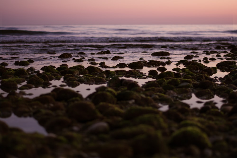 rocks on seashore along ocean wave