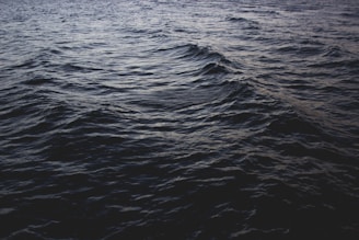 Dark ocean waves ripple across the surface, creating a textured pattern. The lighting gives the water a deep blue-gray color, accentuating the movement of the waves in a serene yet somewhat ominous manner.