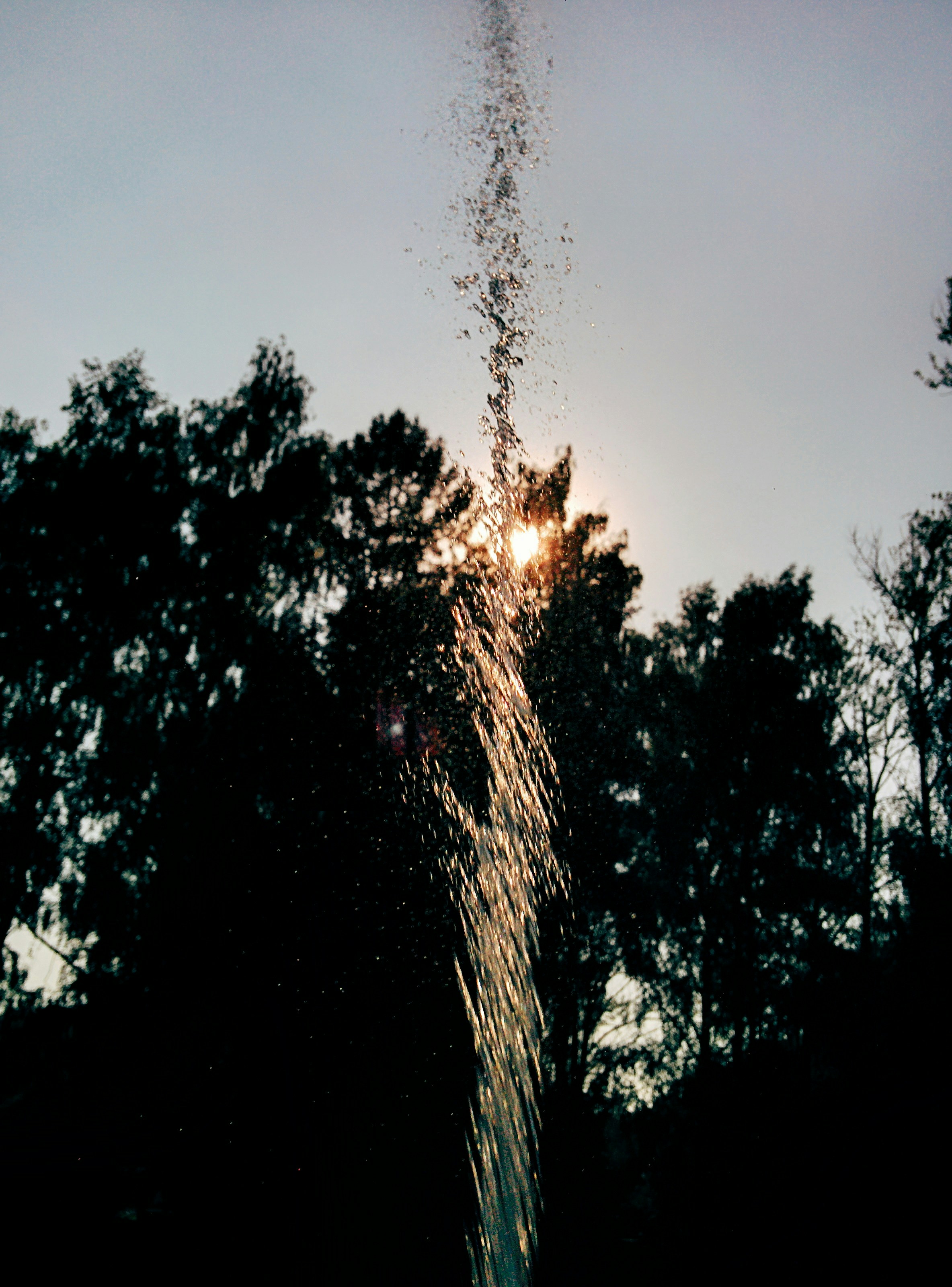 Free Unsplash photo from Mark Ladyshev