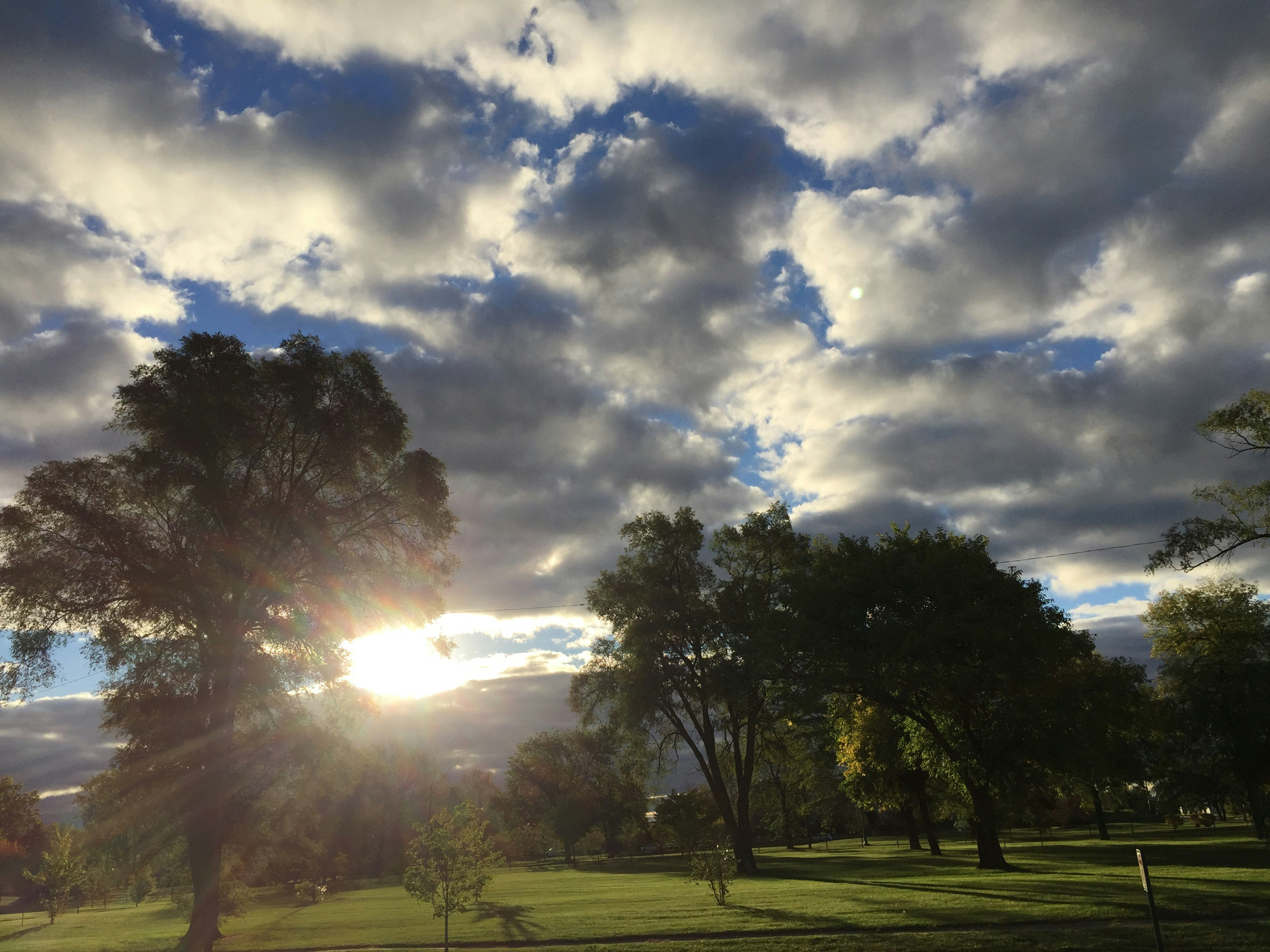 Free Unsplash photo from Jamie Walton