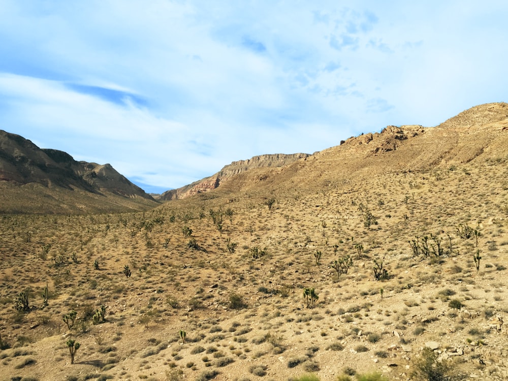 deserto durante il giorno