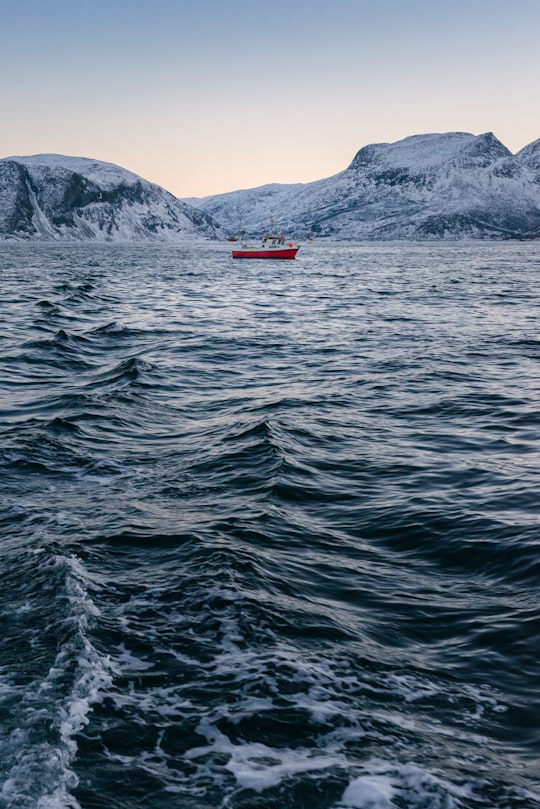 red boat in on body of water in Tromsø Norway