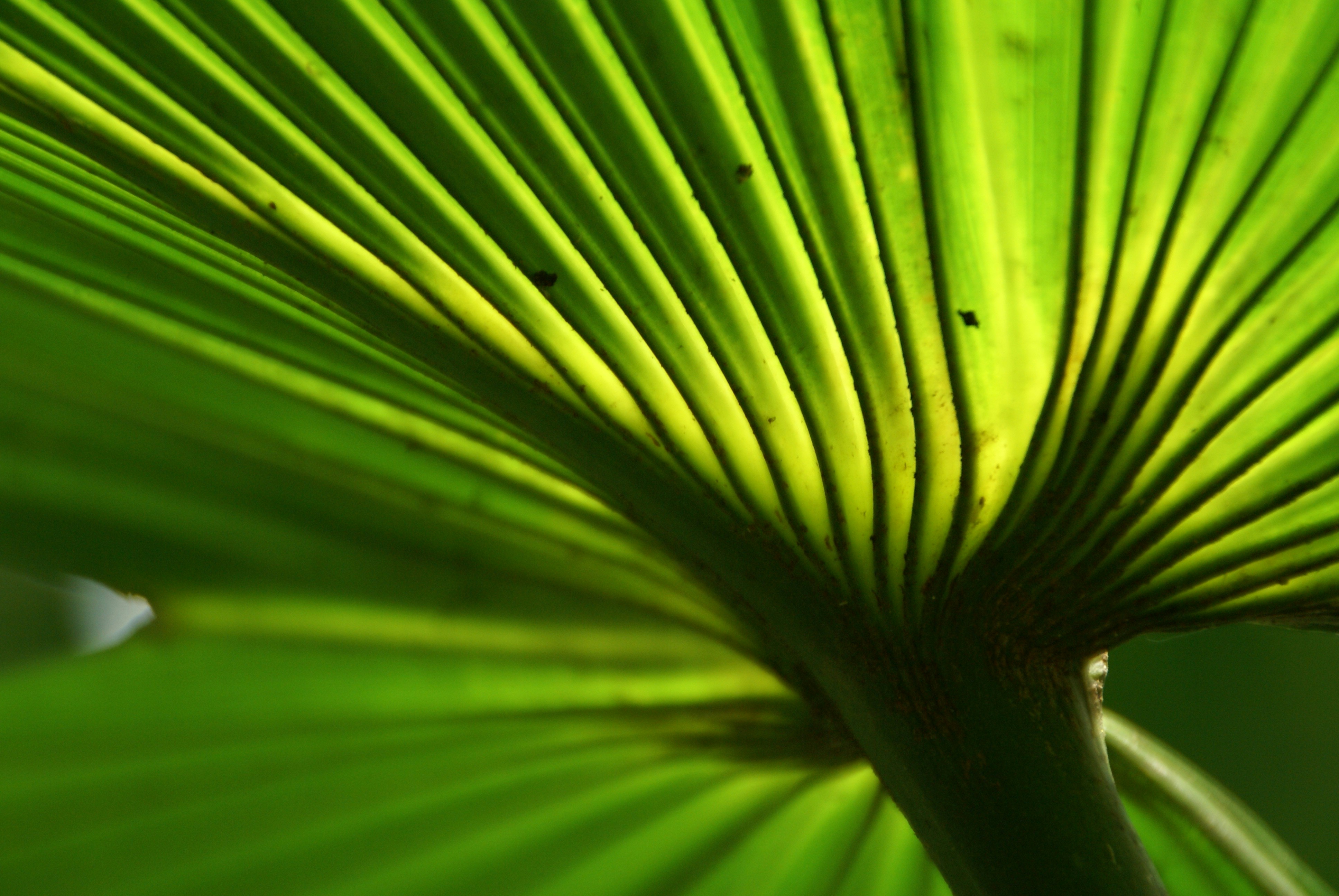 Free Unsplash photo from Katerina Bartosova