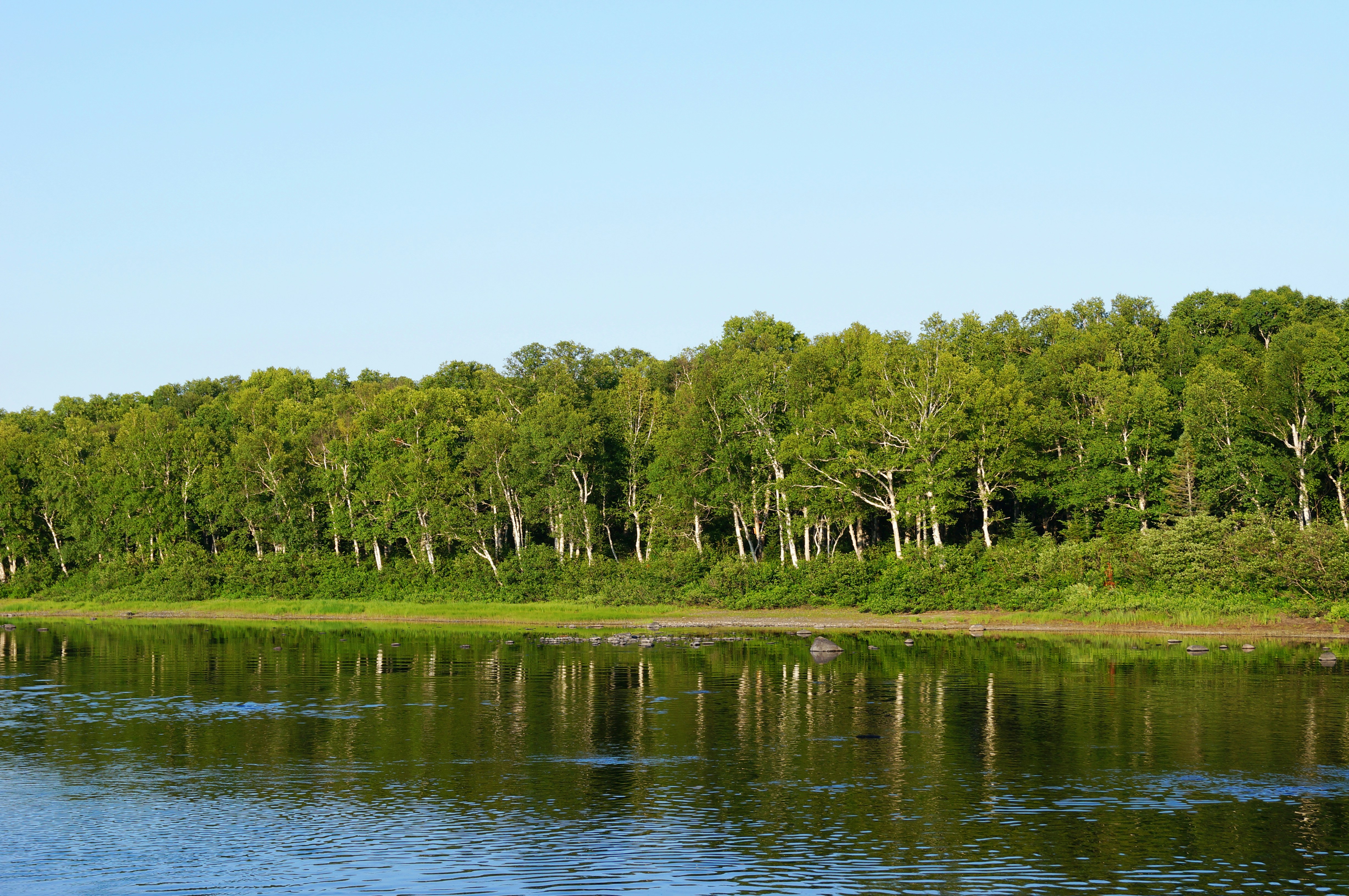 Free Unsplash photo from Elliot Yeo