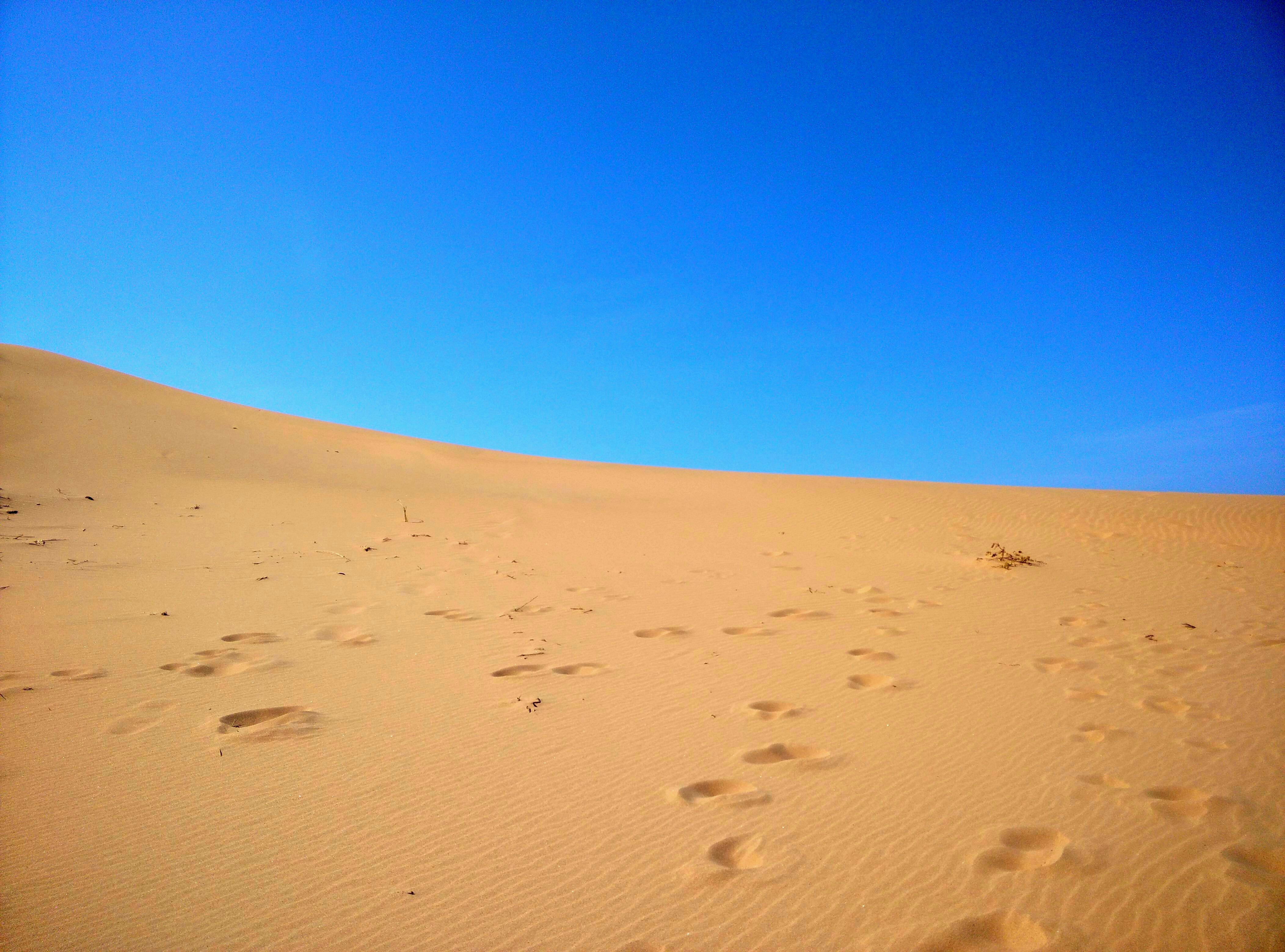 Free Unsplash photo from Elliot Yeo