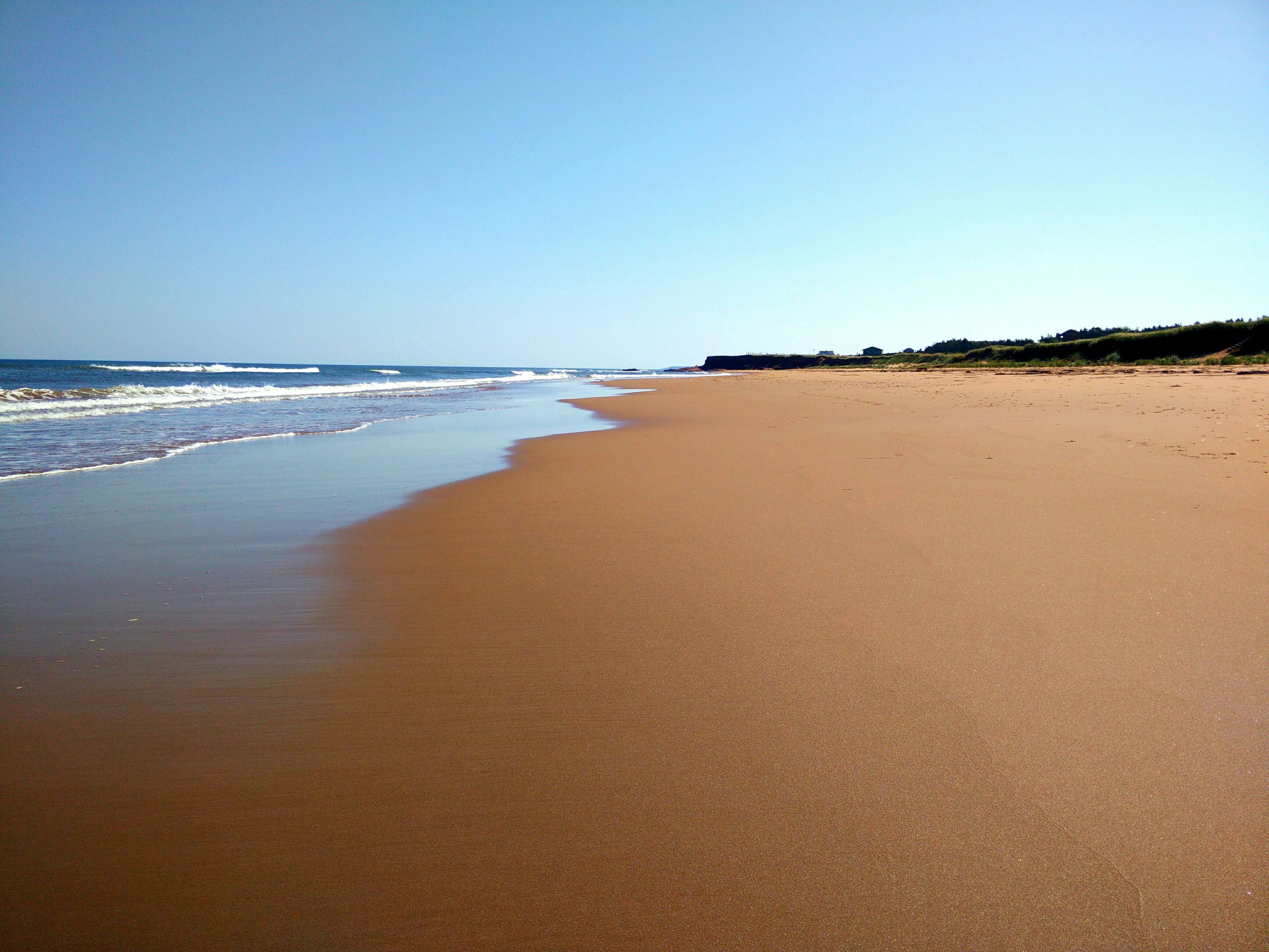 Free Unsplash photo from Elliot Yeo