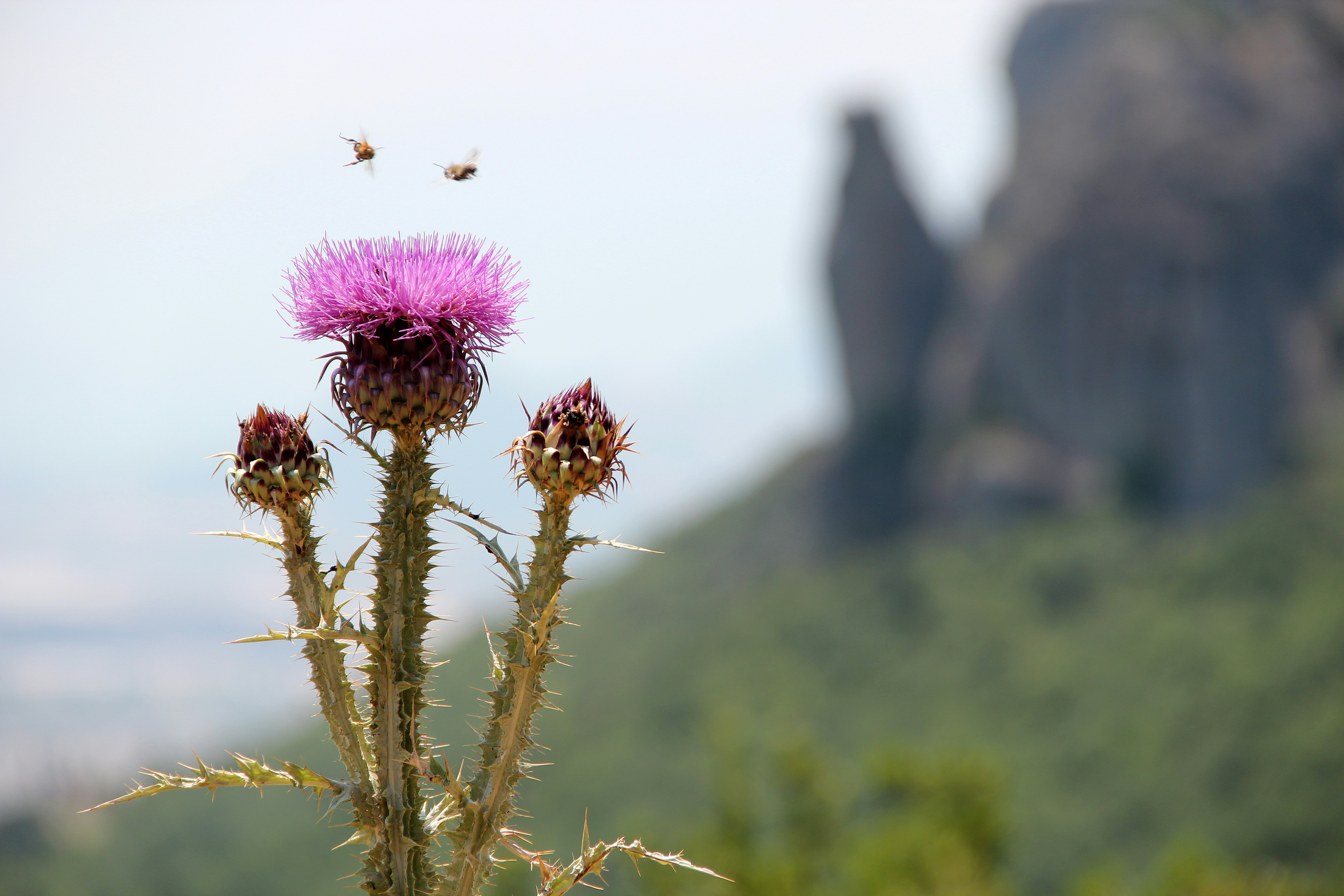 Free Unsplash photo from Alex Pop