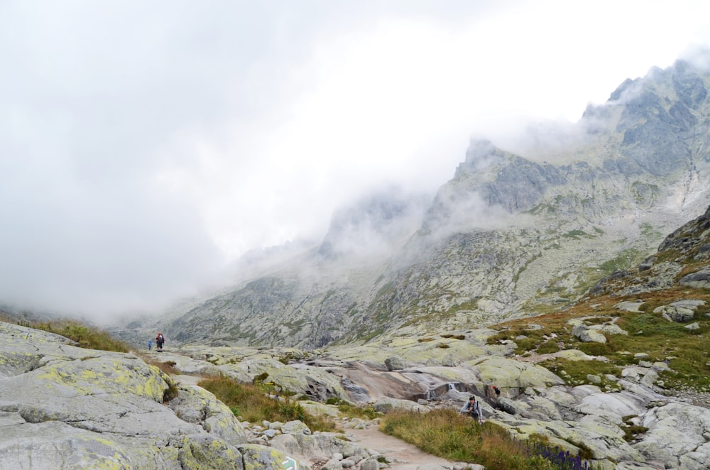 fog-covered mountain