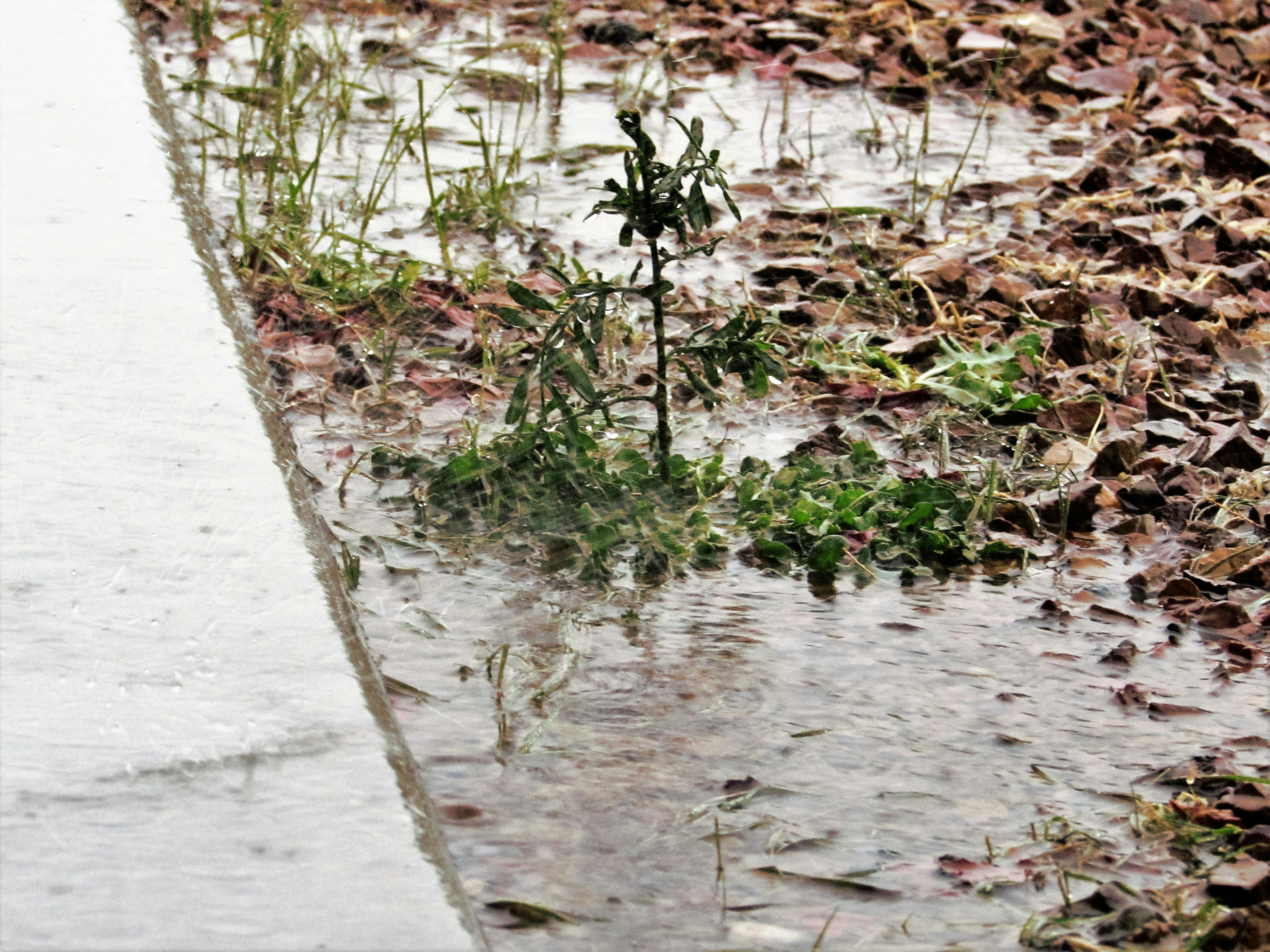 Free Unsplash photo from Jonathan Castor