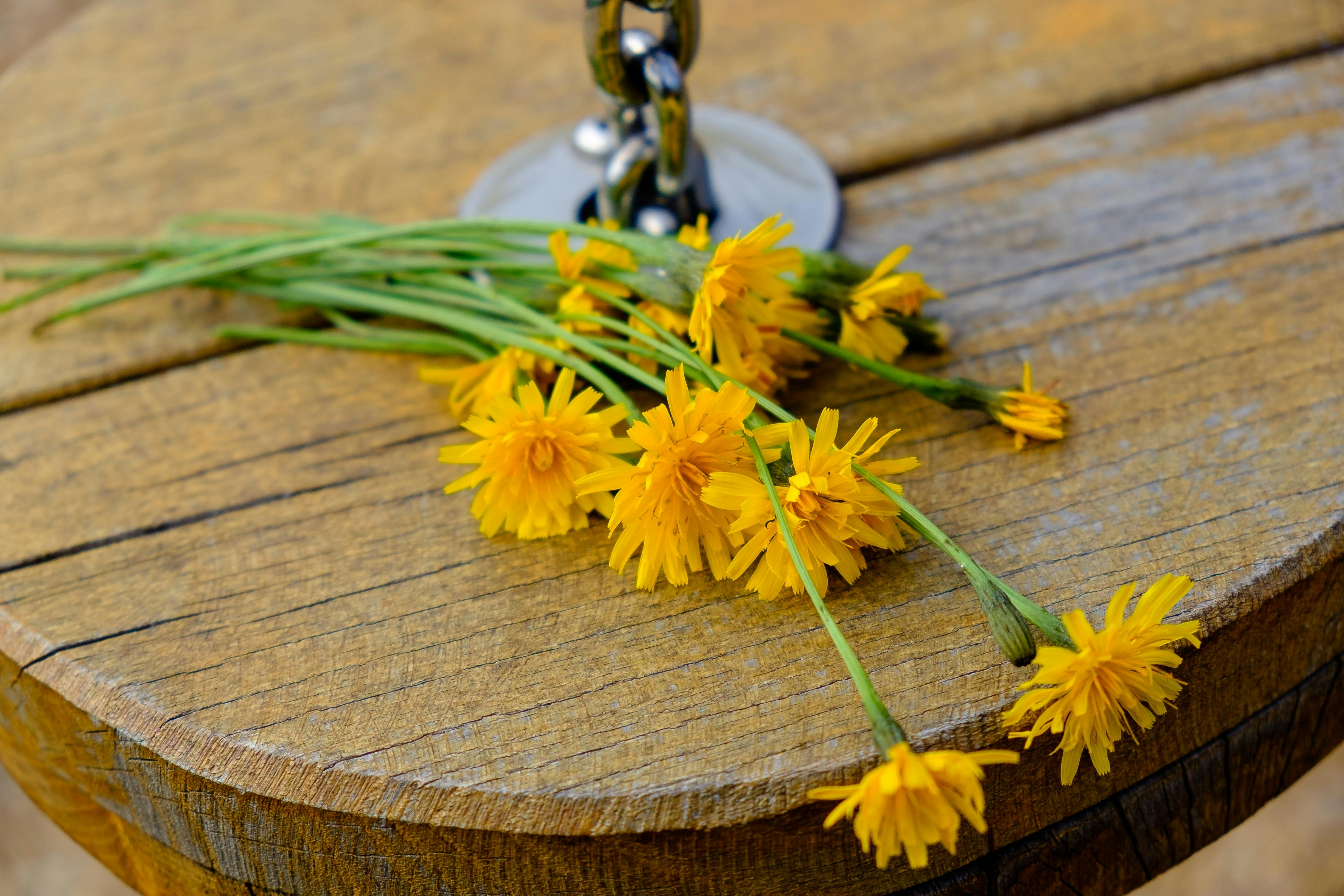 Free Unsplash photo from Umberto Cancedda