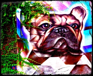 A colorful mural of a bulldog face with detailed features, surrounded by lush green ivy. The artwork is vibrant with a mix of geometric shapes and vivid colors.