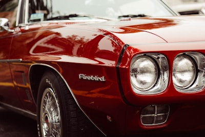 A shiny black Pontiac Firebird reflecting the golden hues of a sunset at a car show.