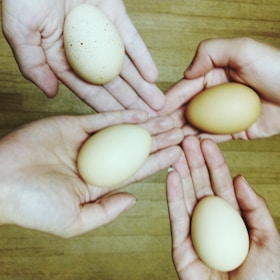 Close-up of a weathered hand gently holding freshly laid eggs nestled in straw.