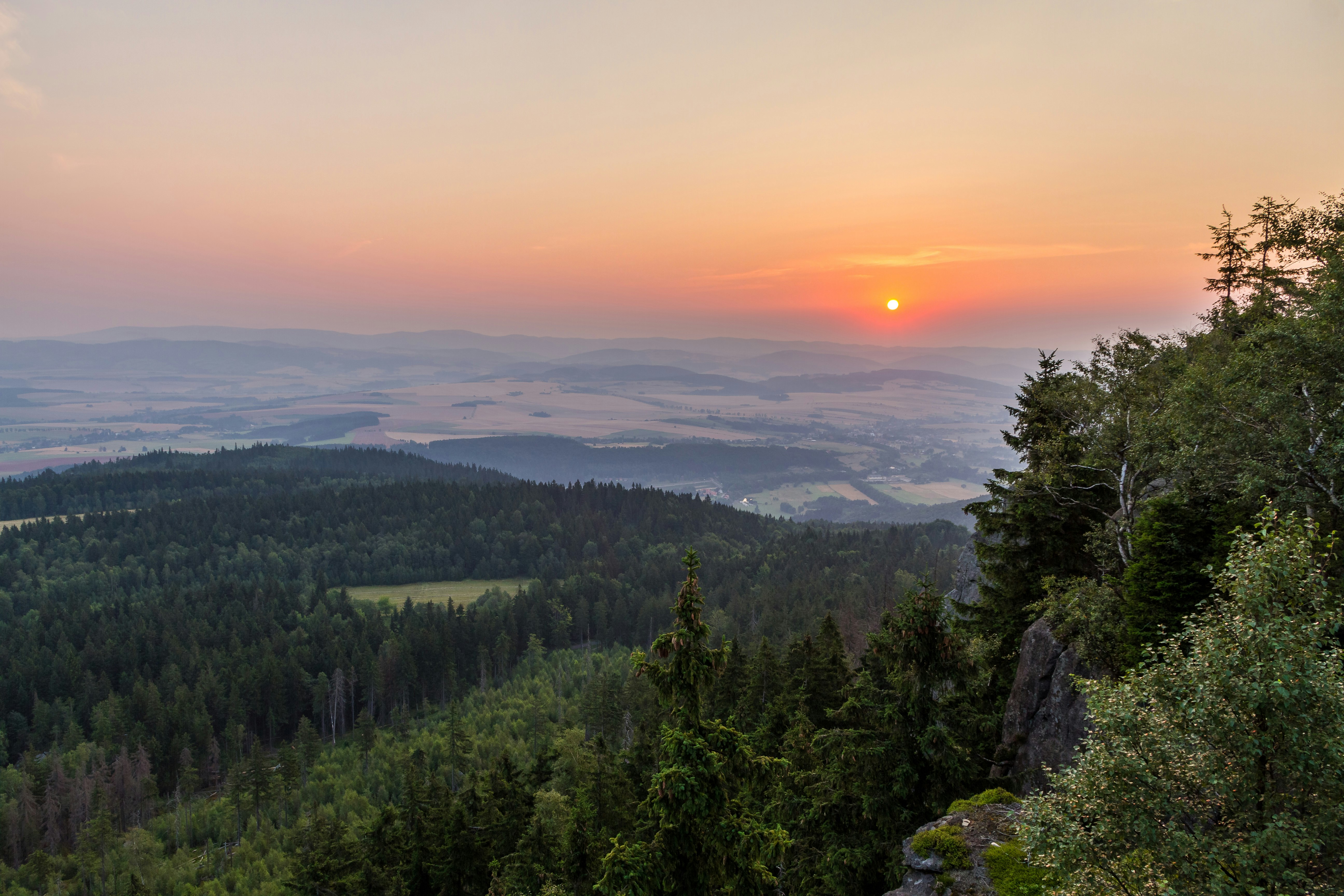 green forest with clouds during golden hour