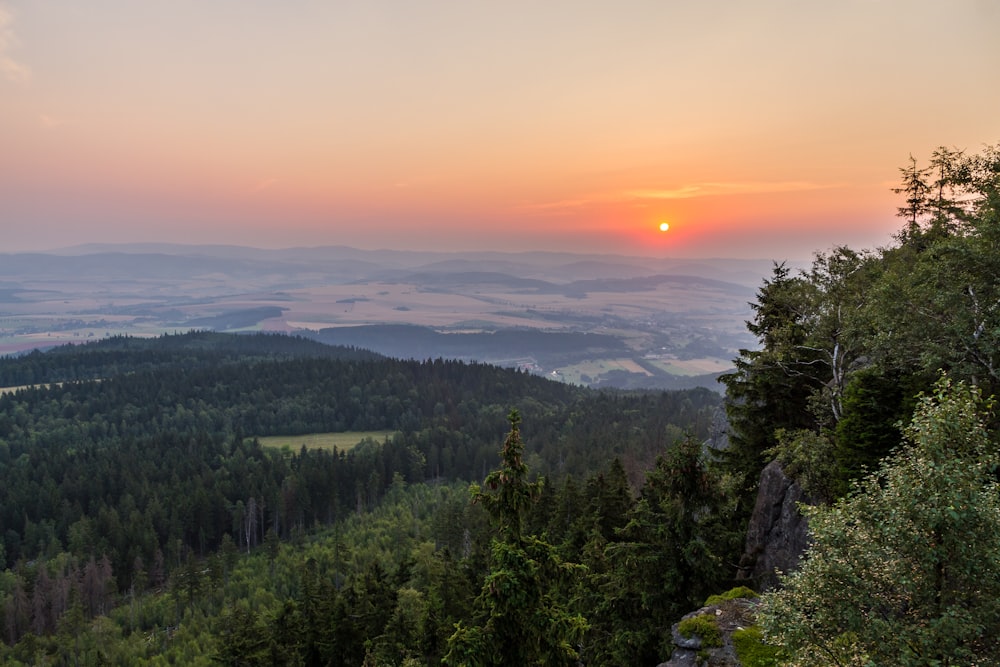 green forest with clouds during golden hour