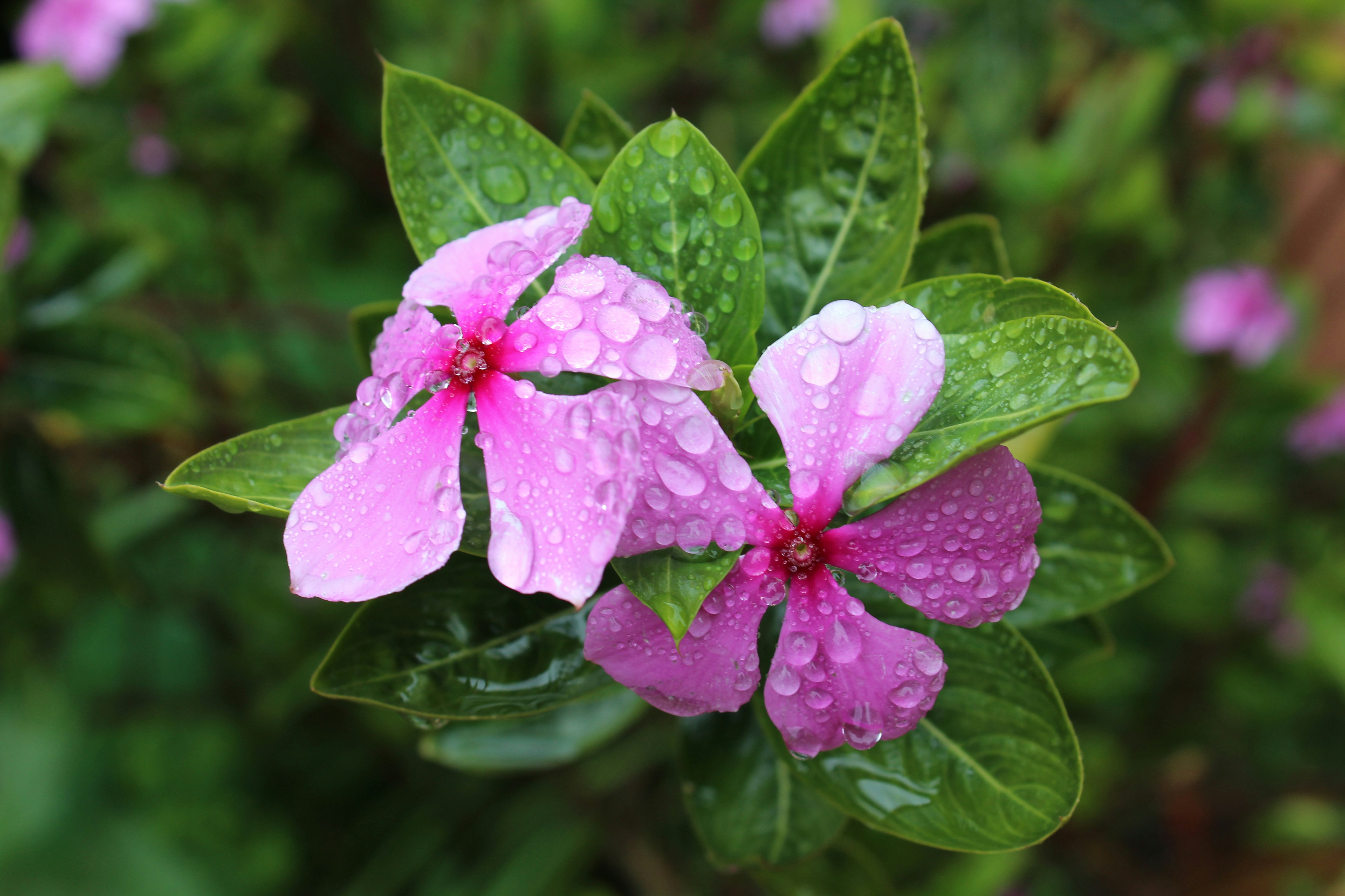 Free Unsplash photo from Marlin Jackson