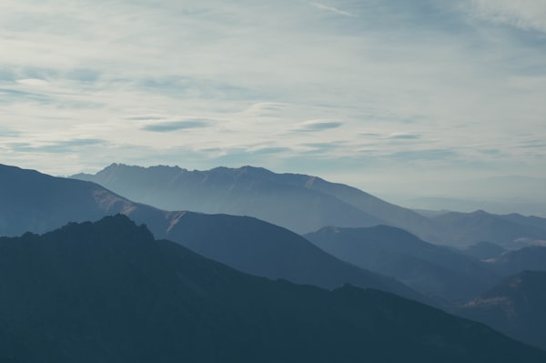 photo 1444065707204 12decac917e8?q=80&w=600&auto=format&fit=crop