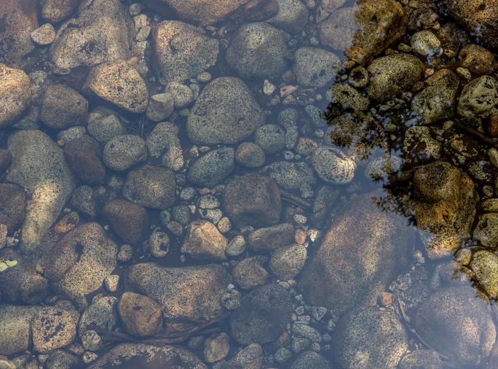 pedras no corpo de água