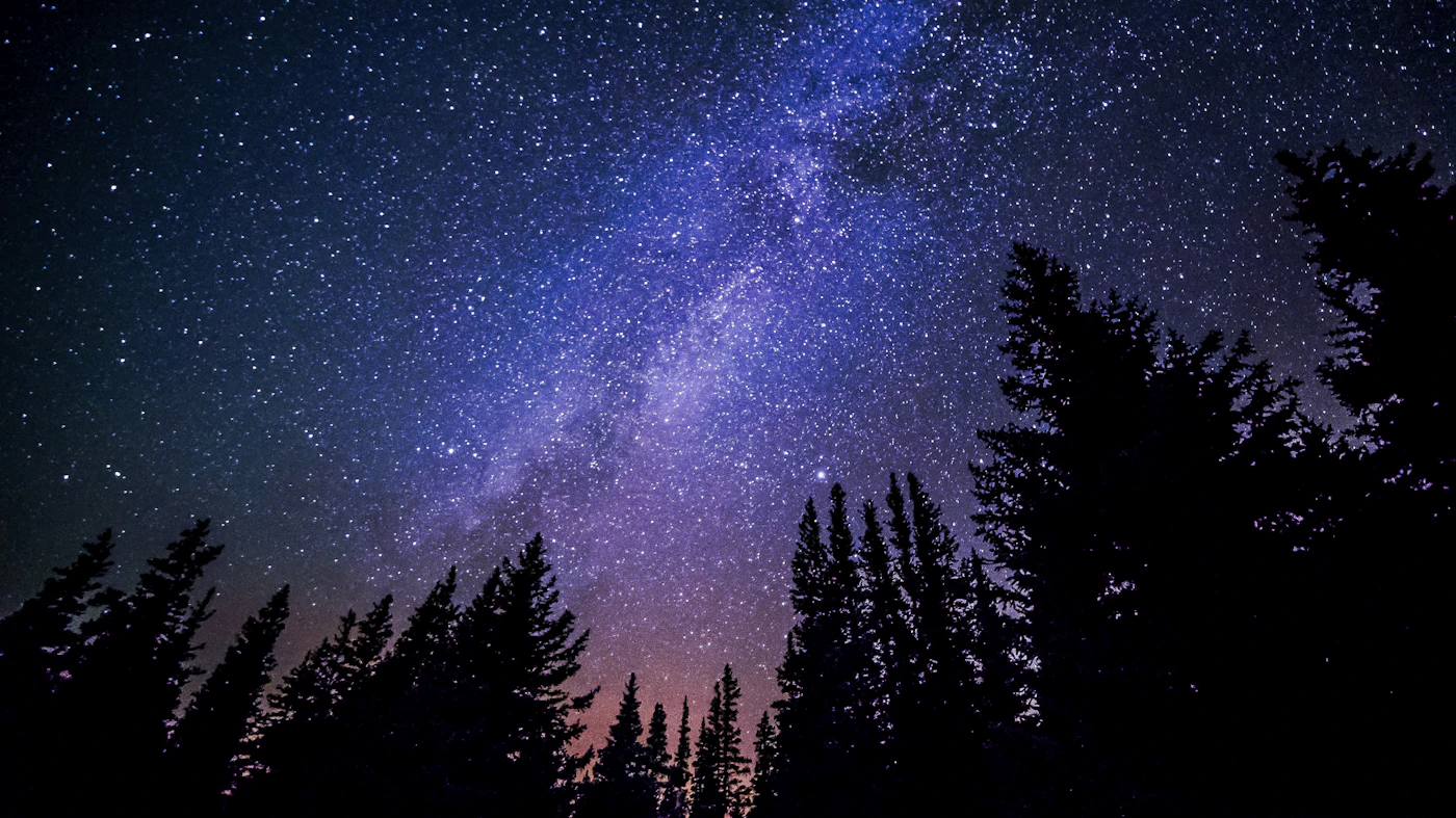 The Milky Way above a forest horizon